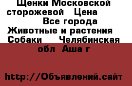 Щенки Московской сторожевой › Цена ­ 35 000 - Все города Животные и растения » Собаки   . Челябинская обл.,Аша г.
